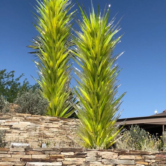 Meet your Posher, Joy - Picture 1 of 1